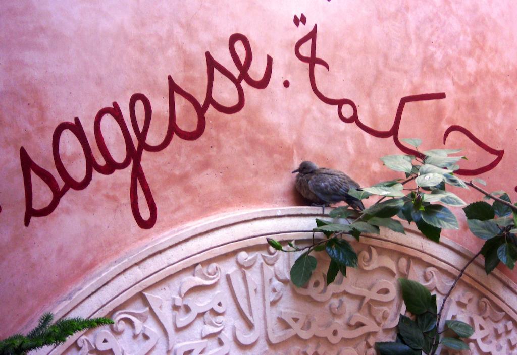 Hotel Dar Malaika Marrakesz Zewnętrze zdjęcie